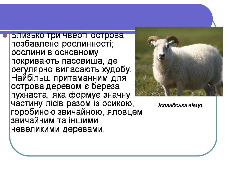 Презентація на тему «Ісландія» (варіант 3) - Слайд #11 Презентація на тему «Ісландія» (варіант 3) - Слайд #11