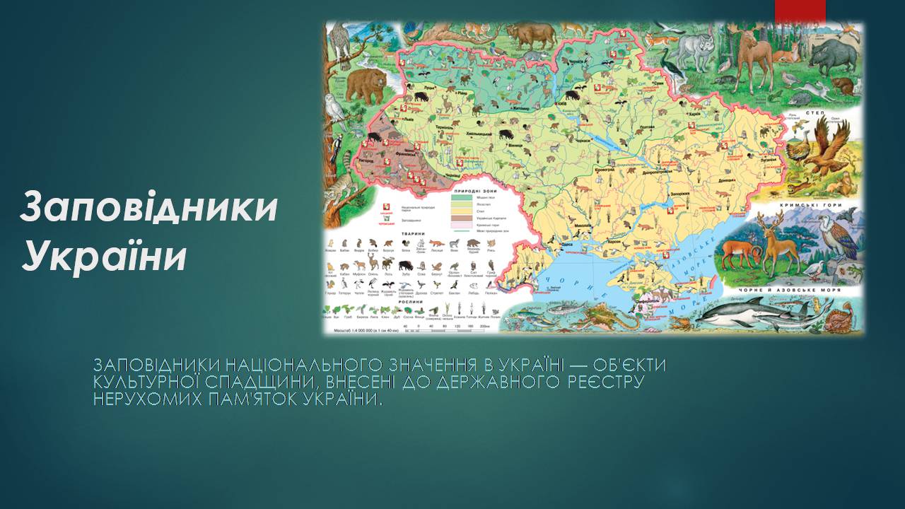 Презентація на тему «Заповідна мережа України» (варіант 7) - Слайд #1 Презентація на тему «Заповідна мережа України» (варіант 7) - Слайд #1