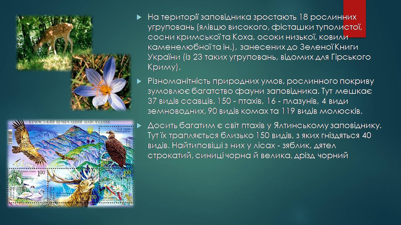 Презентація на тему «Заповідна мережа України» (варіант 7) - Слайд #3 Презентація на тему «Заповідна мережа України» (варіант 7) - Слайд #3
