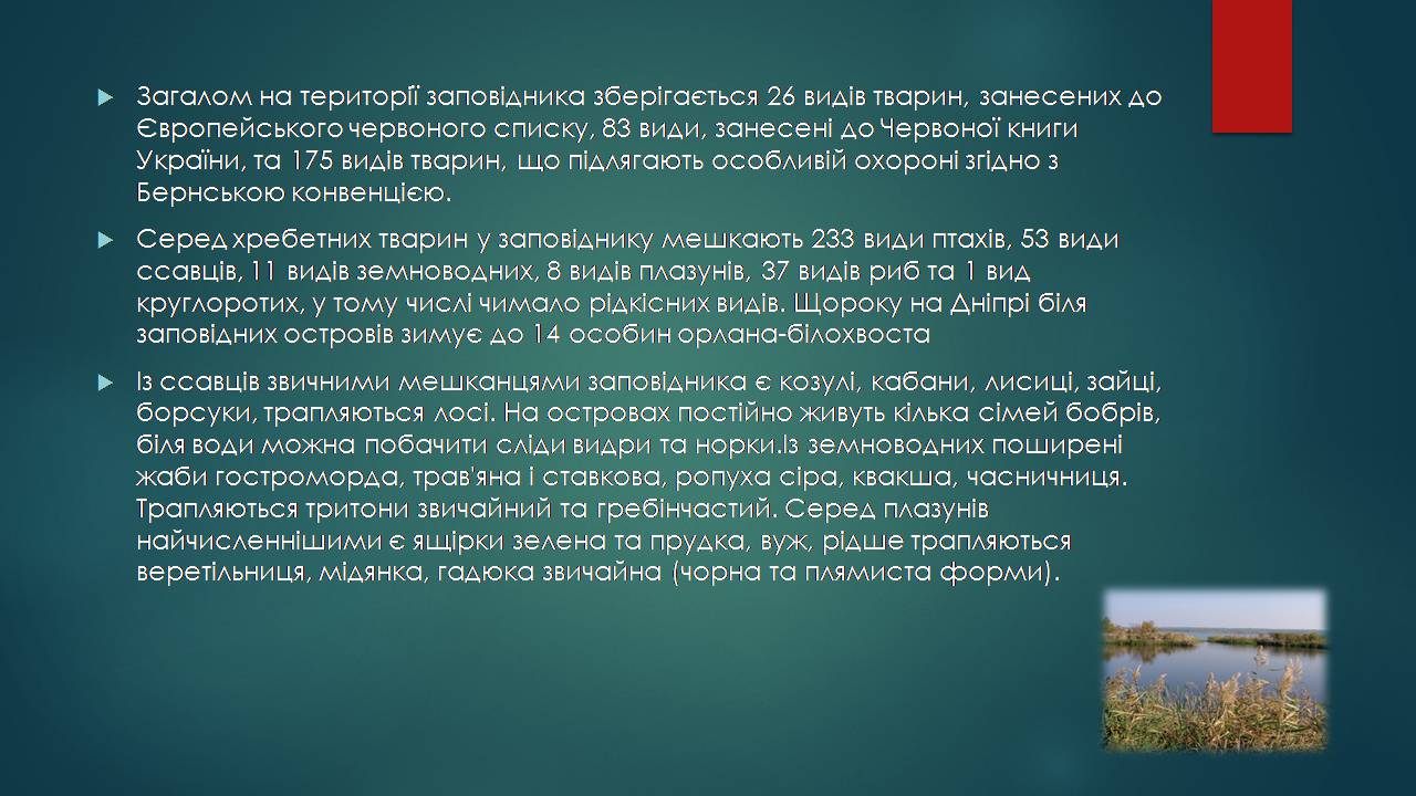 Презентація на тему «Заповідна мережа України» (варіант 7) - Слайд #5 Презентація на тему «Заповідна мережа України» (варіант 7) - Слайд #5