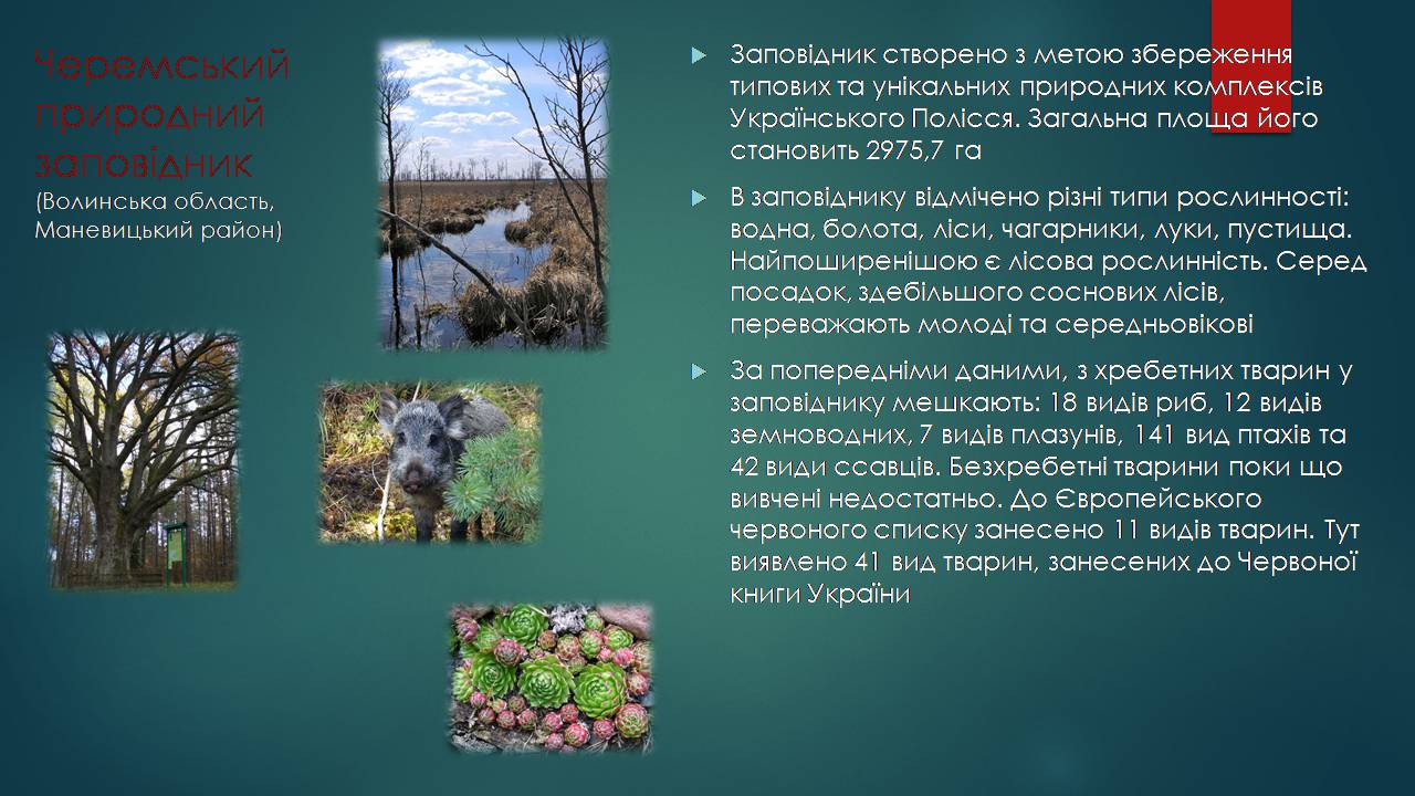 Презентація на тему «Заповідна мережа України» (варіант 7) - Слайд #8 Презентація на тему «Заповідна мережа України» (варіант 7) - Слайд #8