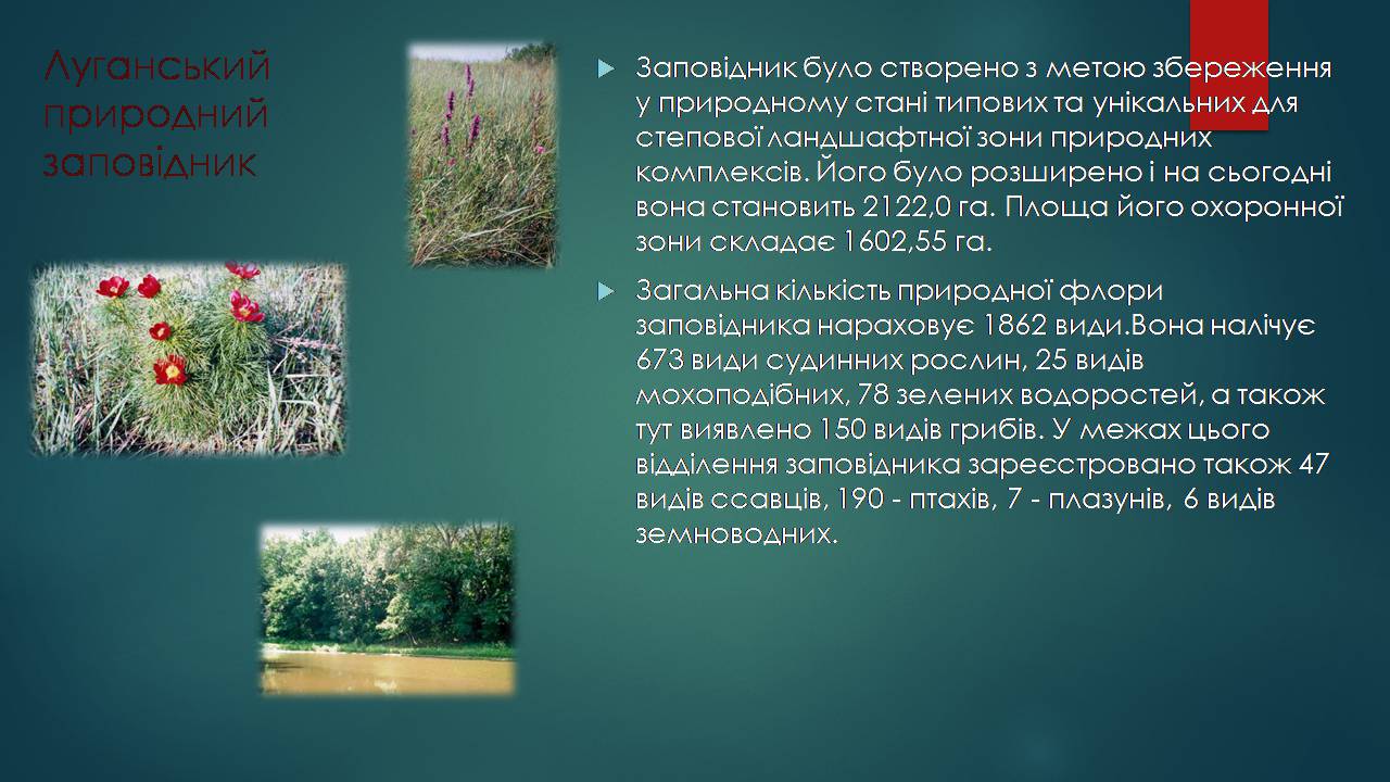 Презентація на тему «Заповідна мережа України» (варіант 7) - Слайд #9 Презентація на тему «Заповідна мережа України» (варіант 7) - Слайд #9