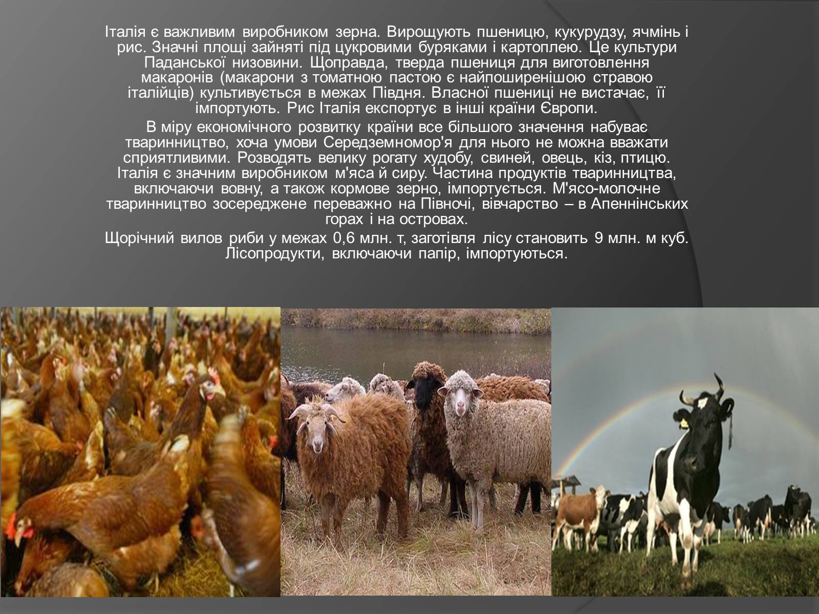 Презентація на тему «Італія» (варіант 14) - Слайд #11 Презентація на тему «Італія» (варіант 14) - Слайд #11