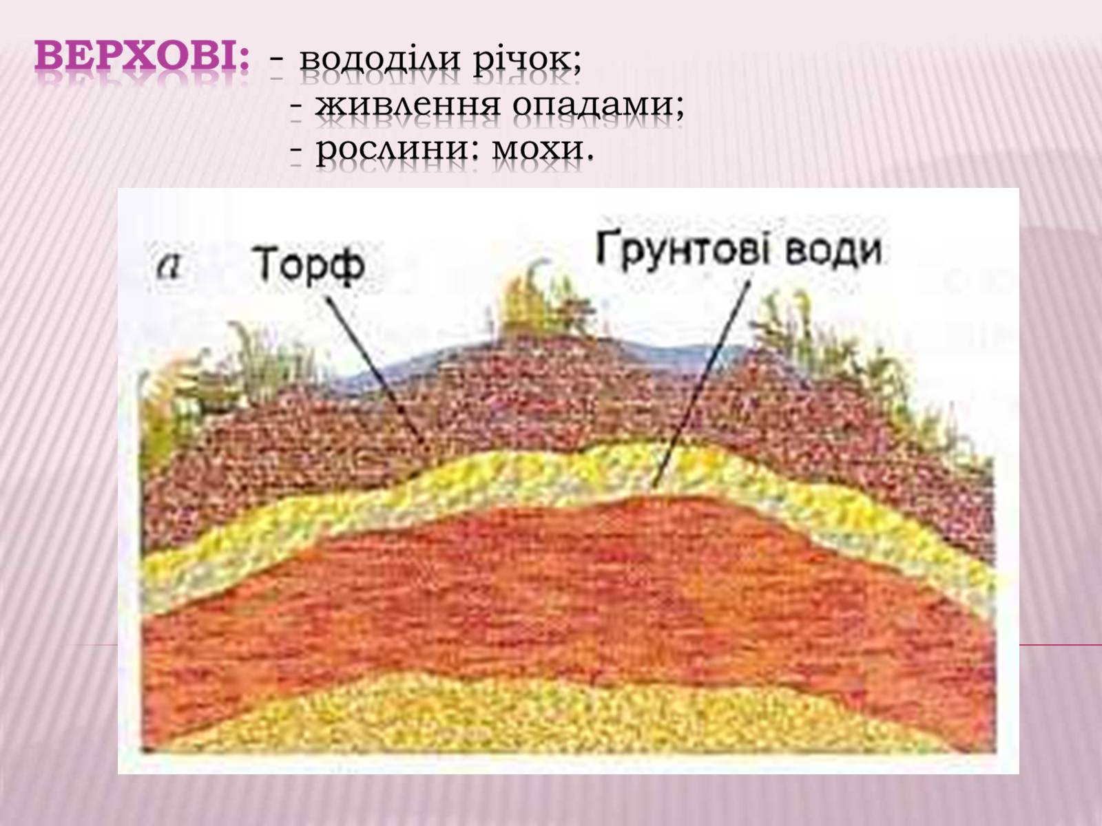 Презентація на тему «Болота та Льодовики» (варіант 2) - Слайд #6 Презентація на тему «Болота та Льодовики» (варіант 2) - Слайд #6