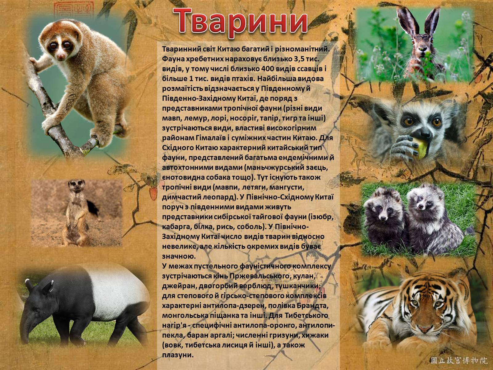 Презентація на тему «Китайська Народна Республіка» (варіант 3) - Слайд #14 Презентація на тему «Китайська Народна Республіка» (варіант 3) - Слайд #14