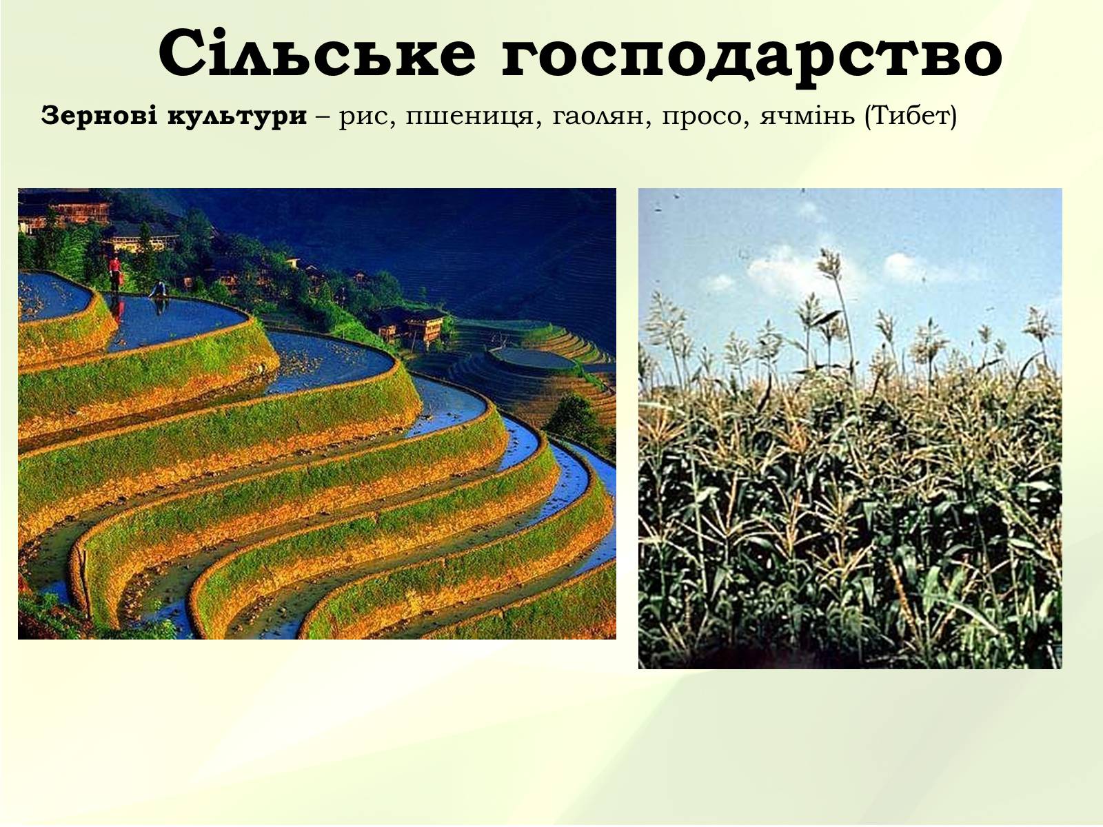 Презентація на тему «Китайська Народна Республіка» (варіант 3) - Слайд #20 Презентація на тему «Китайська Народна Республіка» (варіант 3) - Слайд #20