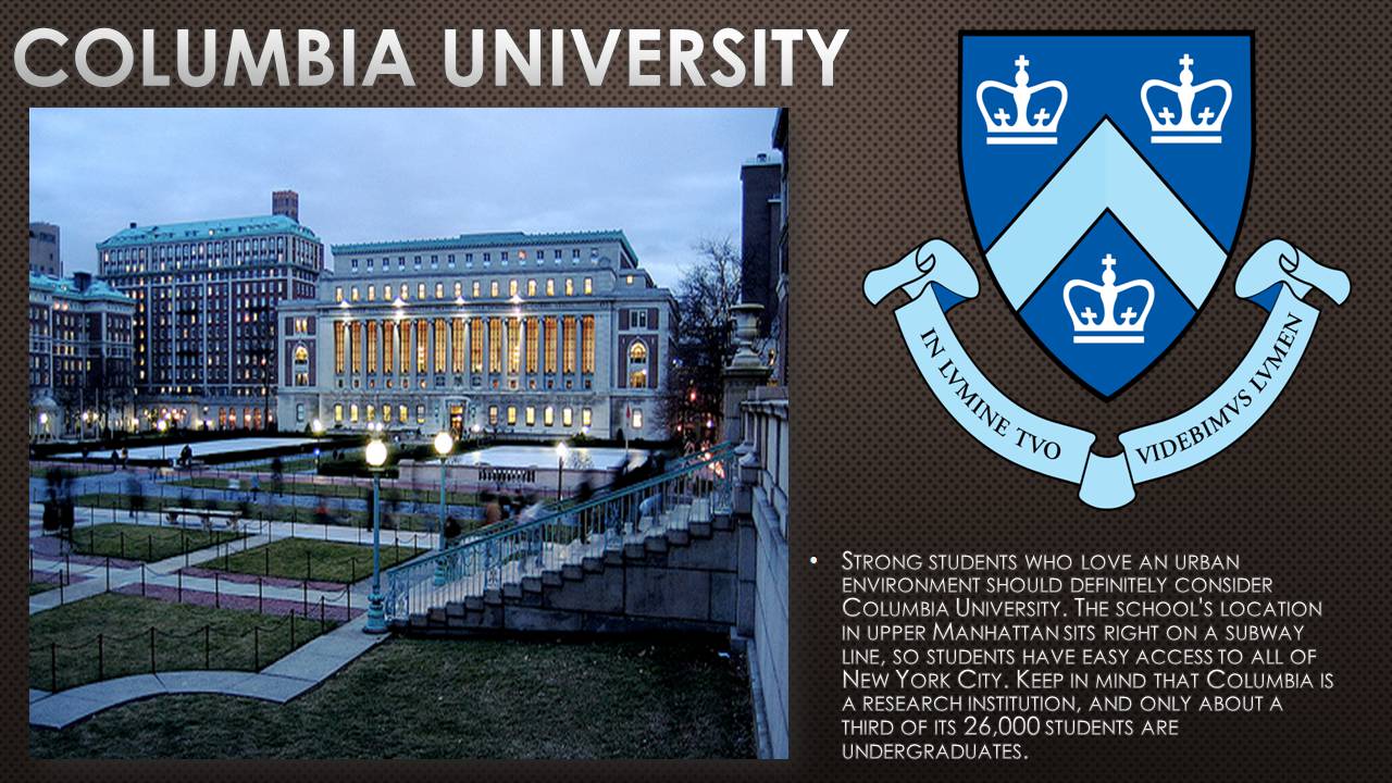 Презентація на тему «Universities» - Слайд #11 Презентація на тему «Universities» - Слайд #11