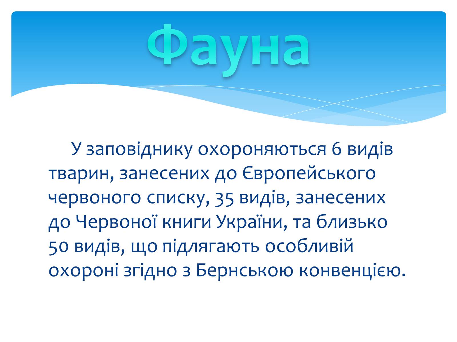 Презентація на тему «Казантипський природний заповідник» - Слайд #13 Презентація на тему «Казантипський природний заповідник» - Слайд #13