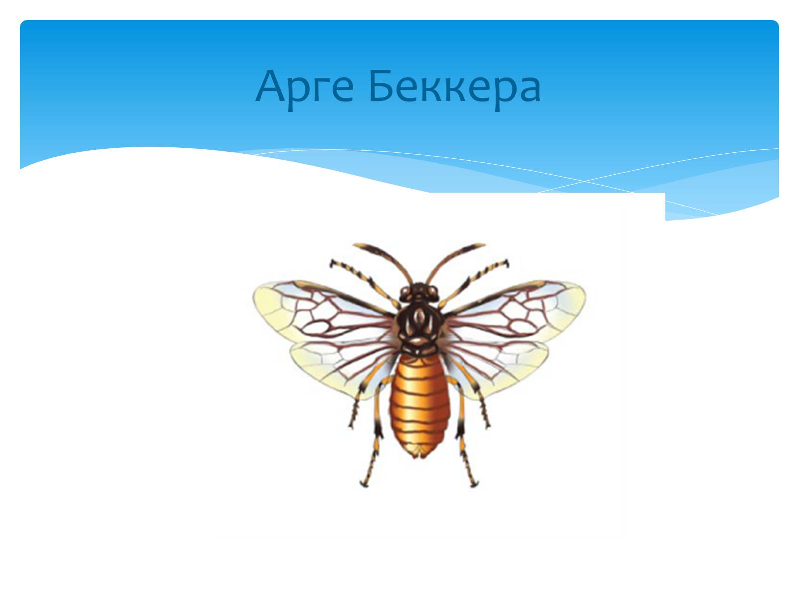 Презентація на тему «Казантипський природний заповідник» - Слайд #23 Презентація на тему «Казантипський природний заповідник» - Слайд #23