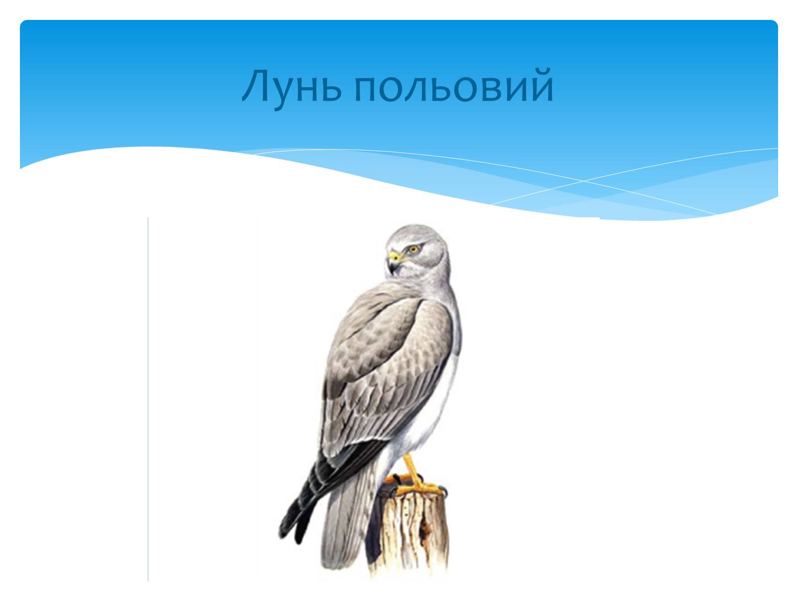 Презентація на тему «Казантипський природний заповідник» - Слайд #30 Презентація на тему «Казантипський природний заповідник» - Слайд #30