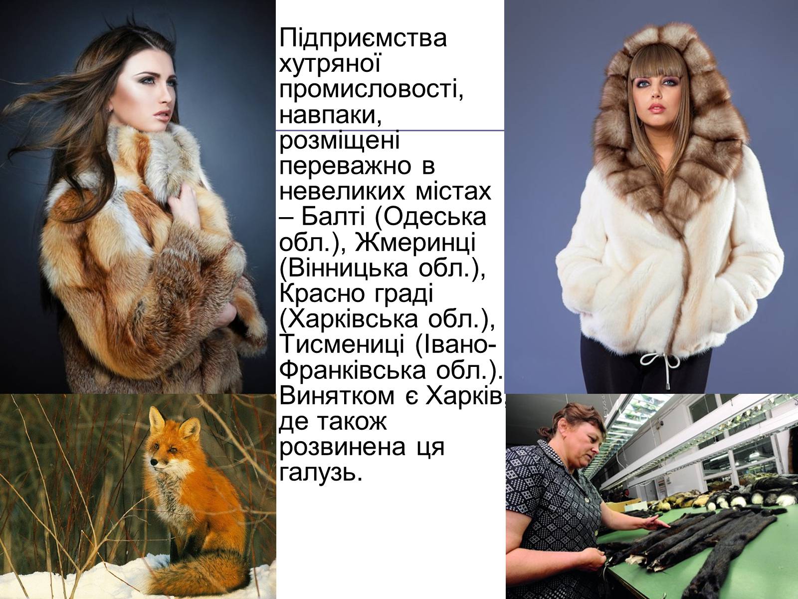 Презентація на тему «Легка промисловість» (варіант 4) - Слайд #12 Презентація на тему «Легка промисловість» (варіант 4) - Слайд #12
