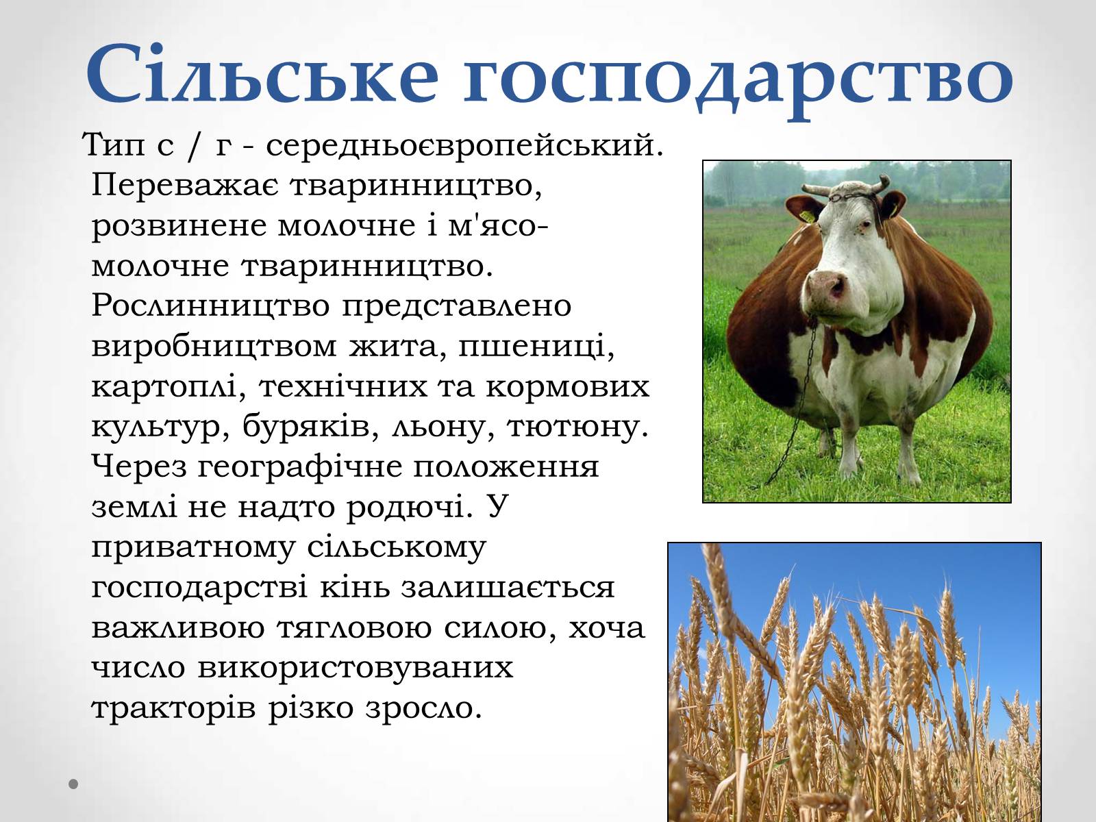 Презентація на тему «Республіка Польща» (варіант 1) - Слайд #17 Презентація на тему «Республіка Польща» (варіант 1) - Слайд #17