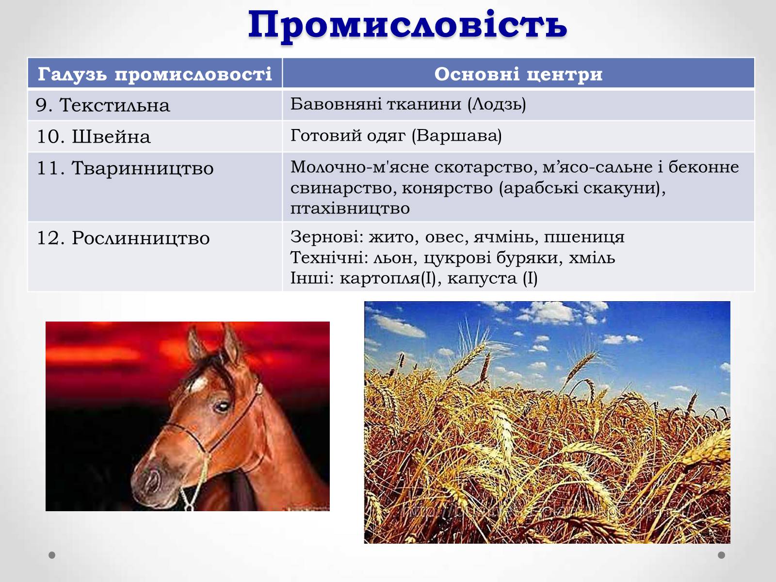 Презентація на тему «Республіка Польща» (варіант 1) - Слайд #19 Презентація на тему «Республіка Польща» (варіант 1) - Слайд #19