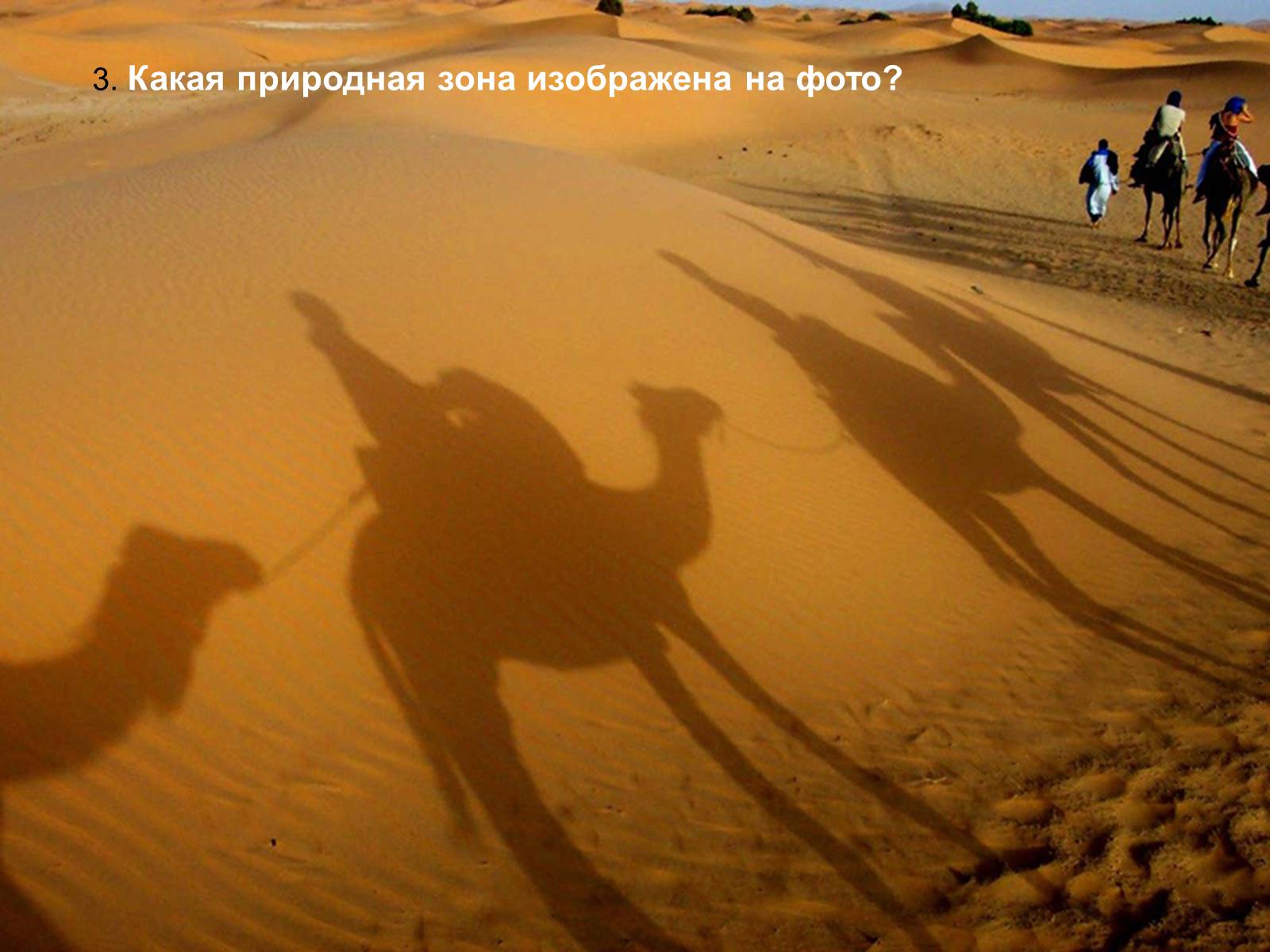 Презентація на тему «Африка» (варіант 15) - Слайд #4 Презентація на тему «Африка» (варіант 15) - Слайд #4