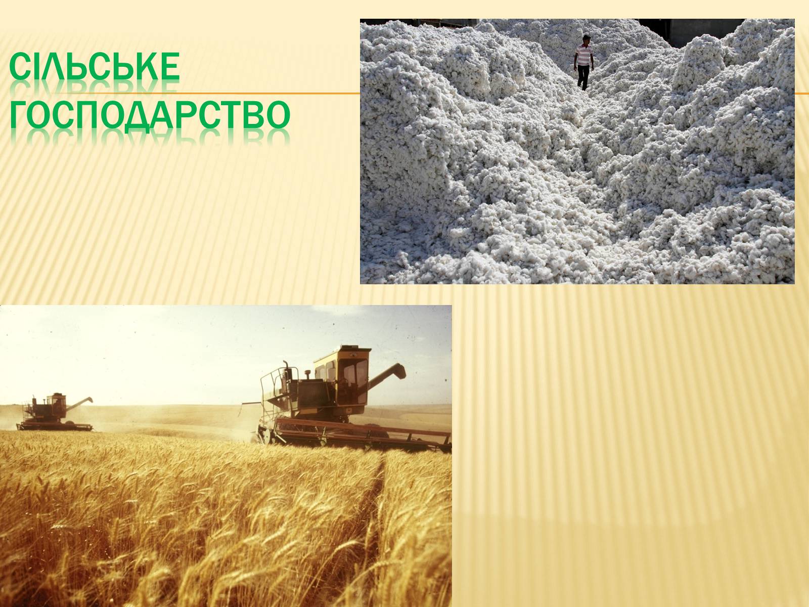 Презентація на тему «Індія» (варіант 21) - Слайд #14 Презентація на тему «Індія» (варіант 21) - Слайд #14