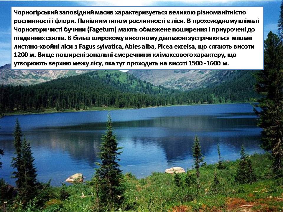 Презентація на тему «Карпатський біосферний заповідник» (варіант 5) - Слайд #11 Презентація на тему «Карпатський біосферний заповідник» (варіант 5) - Слайд #11