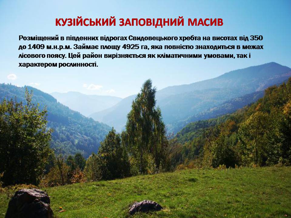 Презентація на тему «Карпатський біосферний заповідник» (варіант 5) - Слайд #20 Презентація на тему «Карпатський біосферний заповідник» (варіант 5) - Слайд #20