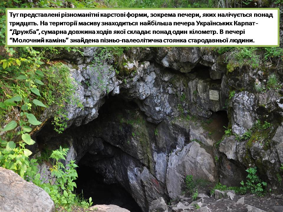 Презентація на тему «Карпатський біосферний заповідник» (варіант 5) - Слайд #23 Презентація на тему «Карпатський біосферний заповідник» (варіант 5) - Слайд #23