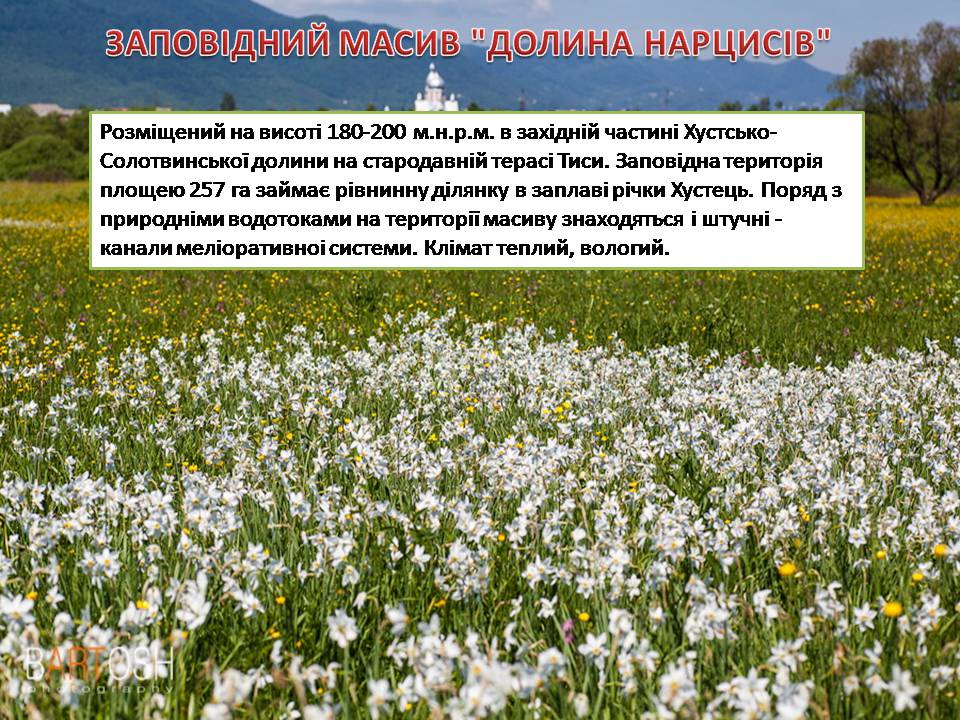 Презентація на тему «Карпатський біосферний заповідник» (варіант 5) - Слайд #27 Презентація на тему «Карпатський біосферний заповідник» (варіант 5) - Слайд #27