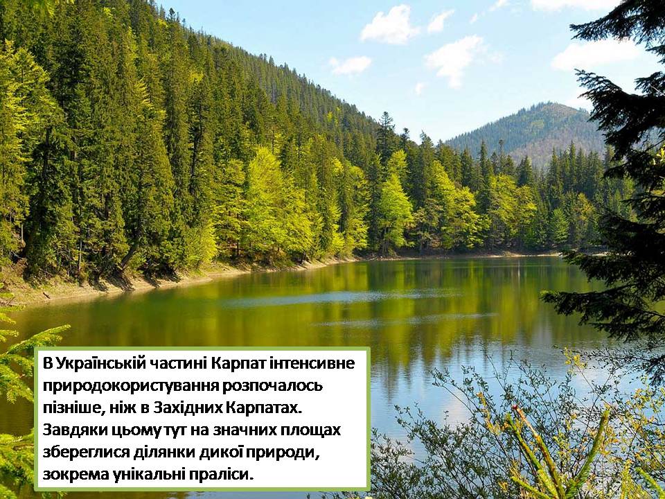Презентація на тему «Карпатський біосферний заповідник» (варіант 5) - Слайд #3 Презентація на тему «Карпатський біосферний заповідник» (варіант 5) - Слайд #3