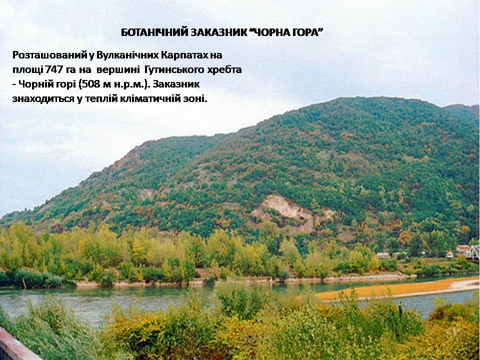 Презентація на тему «Карпатський біосферний заповідник» (варіант 5) - Слайд #30 Презентація на тему «Карпатський біосферний заповідник» (варіант 5) - Слайд #30