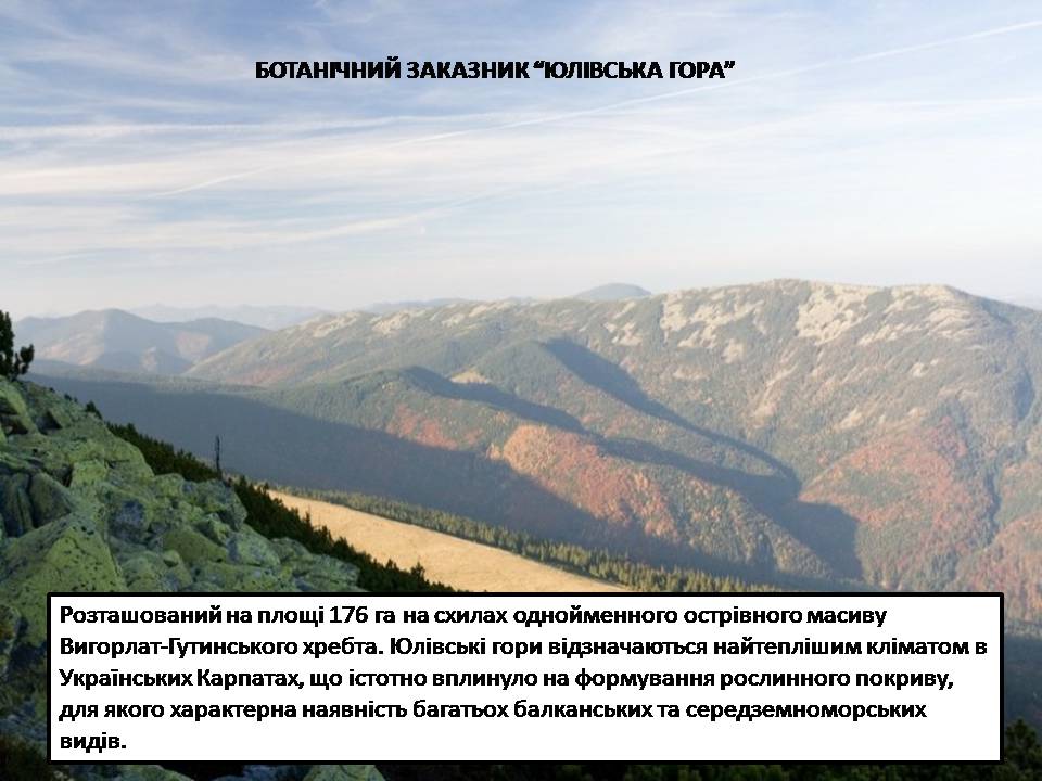 Презентація на тему «Карпатський біосферний заповідник» (варіант 5) - Слайд #34 Презентація на тему «Карпатський біосферний заповідник» (варіант 5) - Слайд #34