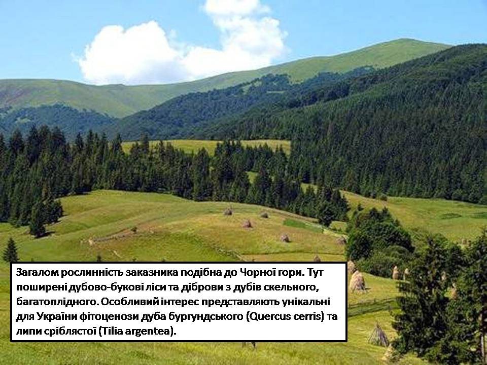 Презентація на тему «Карпатський біосферний заповідник» (варіант 5) - Слайд #35 Презентація на тему «Карпатський біосферний заповідник» (варіант 5) - Слайд #35
