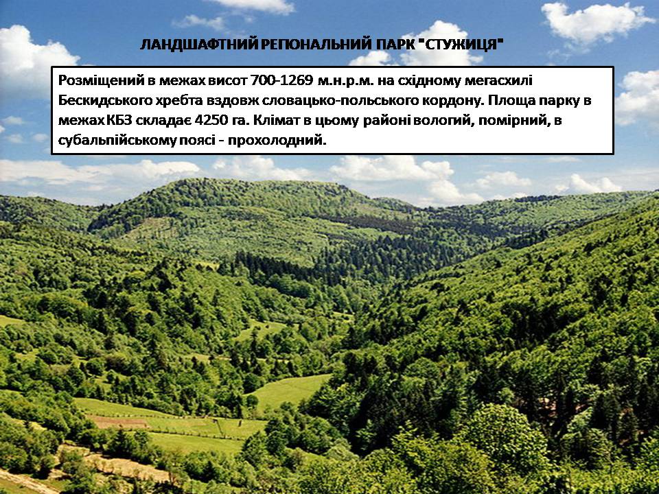 Презентація на тему «Карпатський біосферний заповідник» (варіант 5) - Слайд #36 Презентація на тему «Карпатський біосферний заповідник» (варіант 5) - Слайд #36