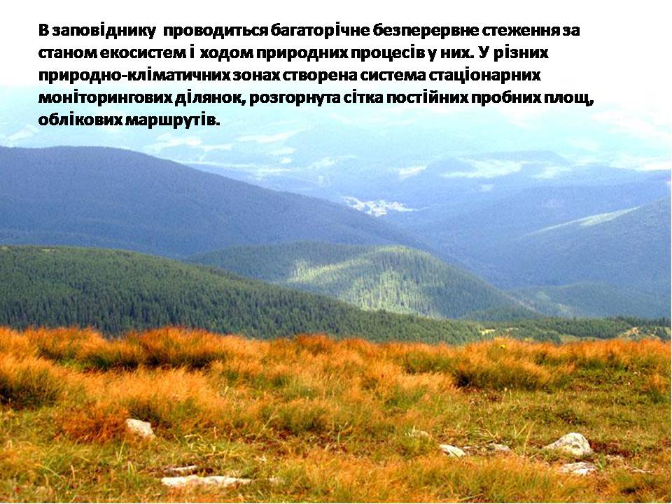 Презентація на тему «Карпатський біосферний заповідник» (варіант 5) - Слайд #8 Презентація на тему «Карпатський біосферний заповідник» (варіант 5) - Слайд #8