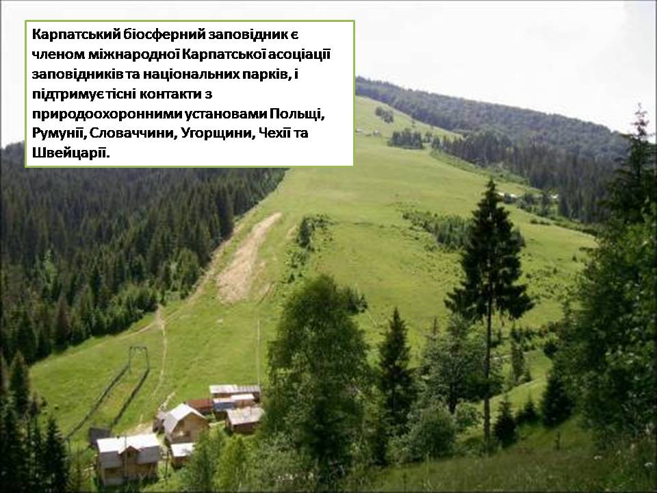 Презентація на тему «Карпатський біосферний заповідник» (варіант 5) - Слайд #9 Презентація на тему «Карпатський біосферний заповідник» (варіант 5) - Слайд #9