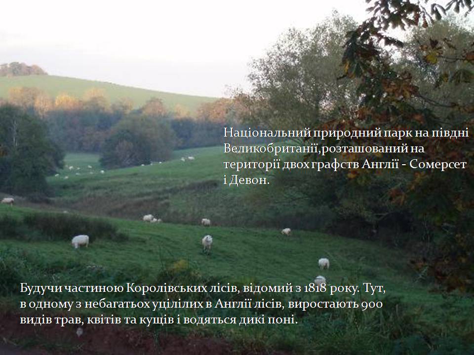 Презентація на тему «Природні парки Великої Британії» (варіант 4) - Слайд #10 Презентація на тему «Природні парки Великої Британії» (варіант 4) - Слайд #10