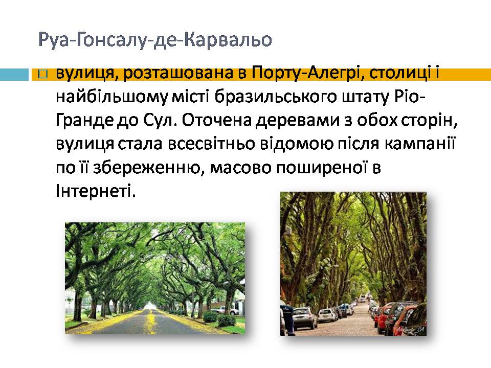 Презентація на тему «Бразилія» (варіант 21) - Слайд #29 Презентація на тему «Бразилія» (варіант 21) - Слайд #29