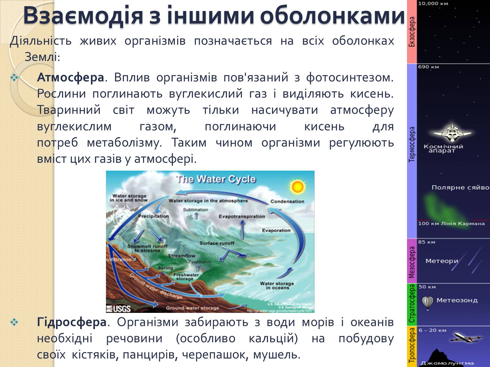 Презентація на тему «Біосфера» (варіант 3) - Слайд #11 Презентація на тему «Біосфера» (варіант 3) - Слайд #11