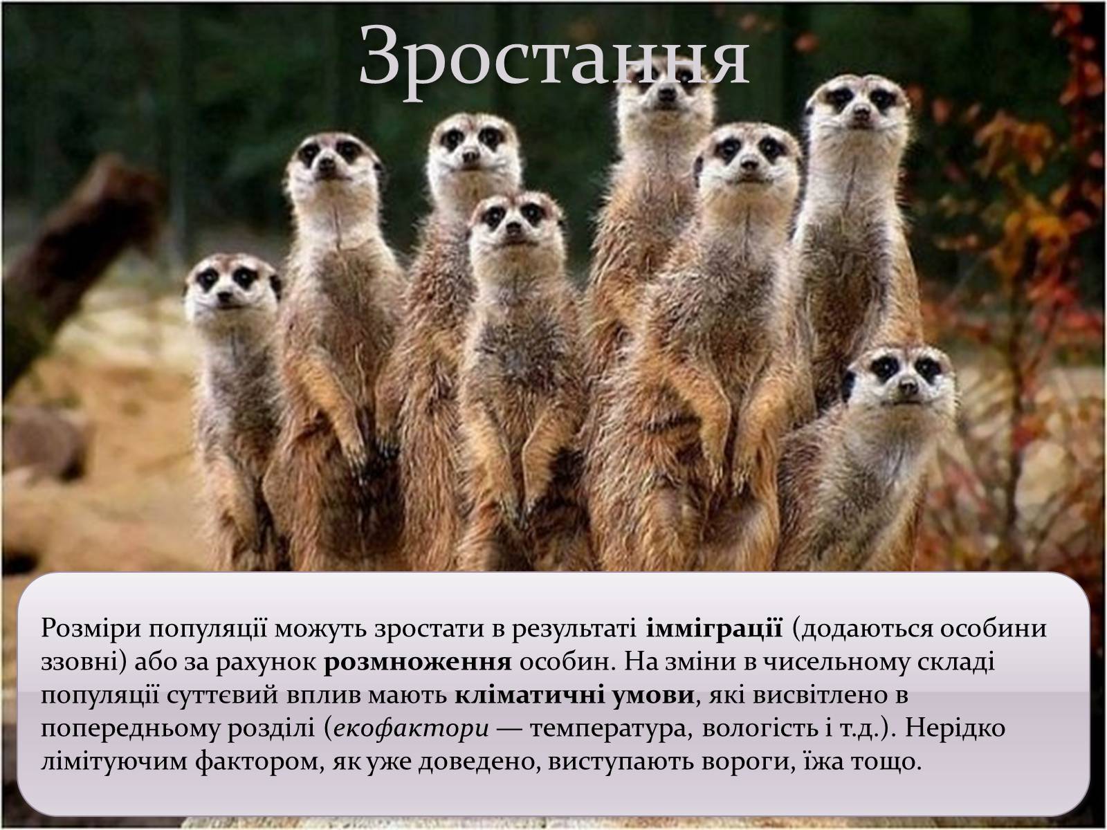 Презентація на тему «Регуляція чисельності популяцій» - Слайд #6 Презентація на тему «Регуляція чисельності популяцій» - Слайд #6