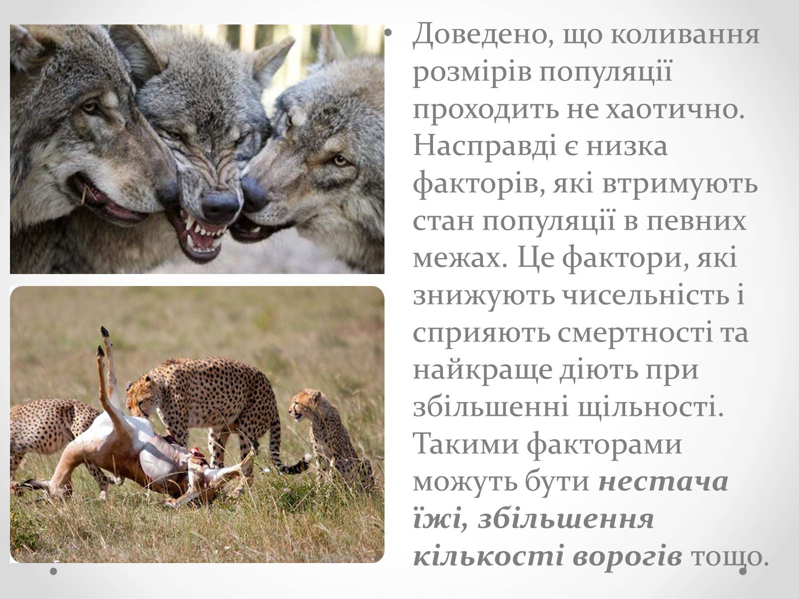 Презентація на тему «Регуляція чисельності популяцій» - Слайд #7 Презентація на тему «Регуляція чисельності популяцій» - Слайд #7