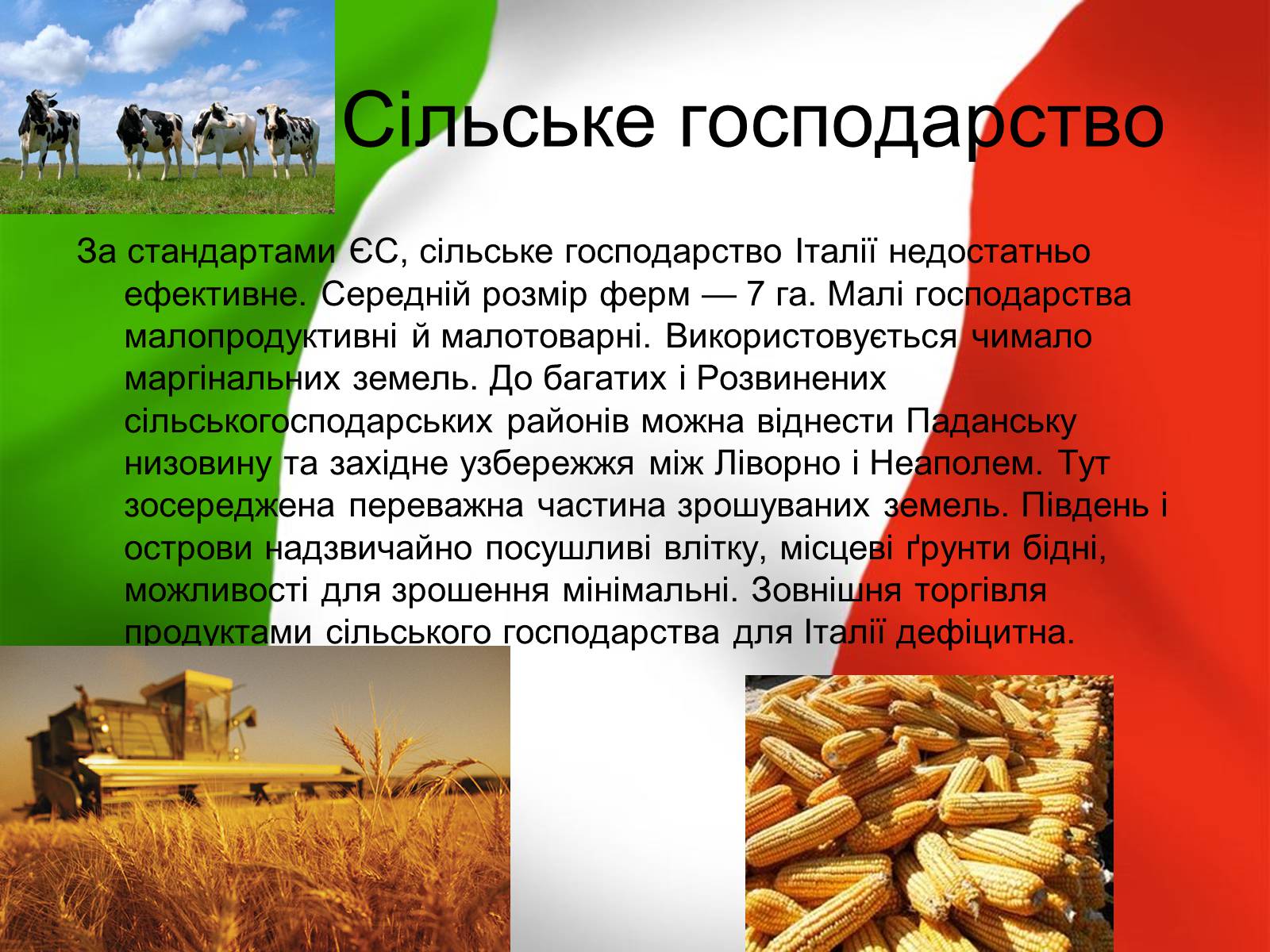 Презентація на тему «Італія» (варіант 12) - Слайд #13 Презентація на тему «Італія» (варіант 12) - Слайд #13
