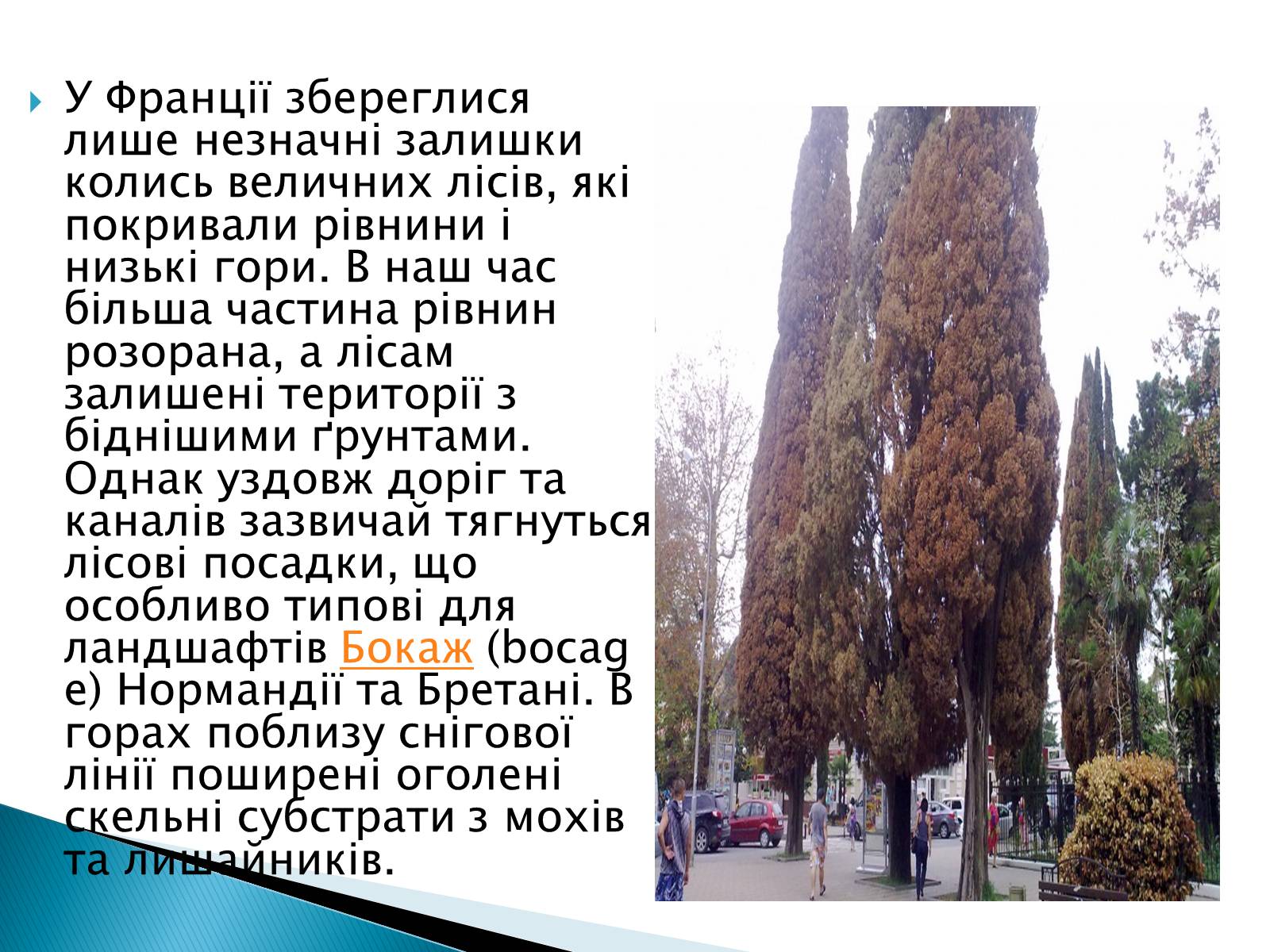 Презентація на тему «Франція» (варіант 7) - Слайд #8 Презентація на тему «Франція» (варіант 7) - Слайд #8