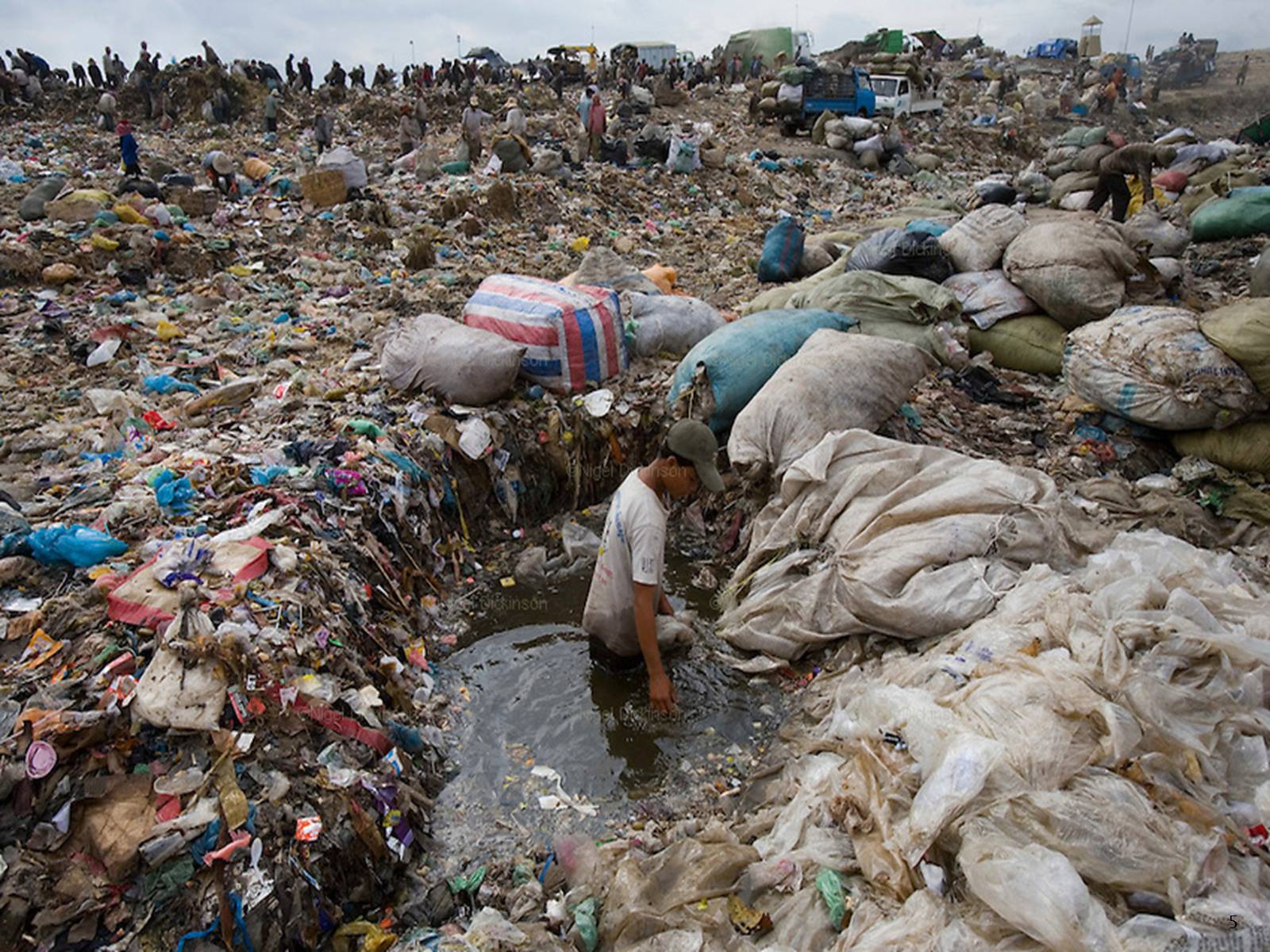 Презентація на тему «Rubbish» - Слайд #5 Презентація на тему «Rubbish» - Слайд #5