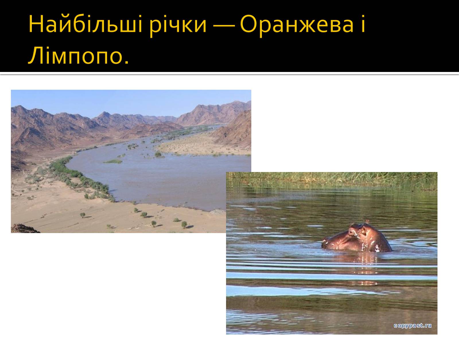 Презентація на тему «Південно-Африканська Республіка» (варіант 3) - Слайд #10 Презентація на тему «Південно-Африканська Республіка» (варіант 3) - Слайд #10