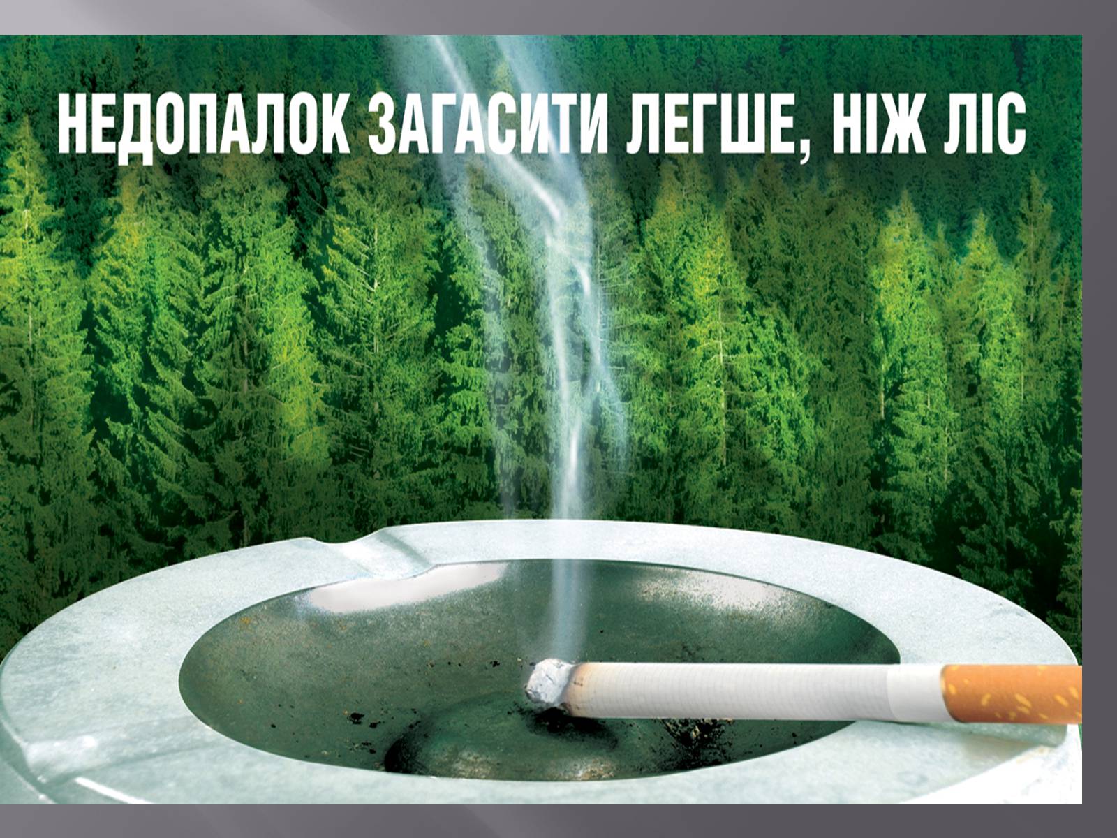 Презентація на тему «Лісова пожежа» - Слайд #11 Презентація на тему «Лісова пожежа» - Слайд #11
