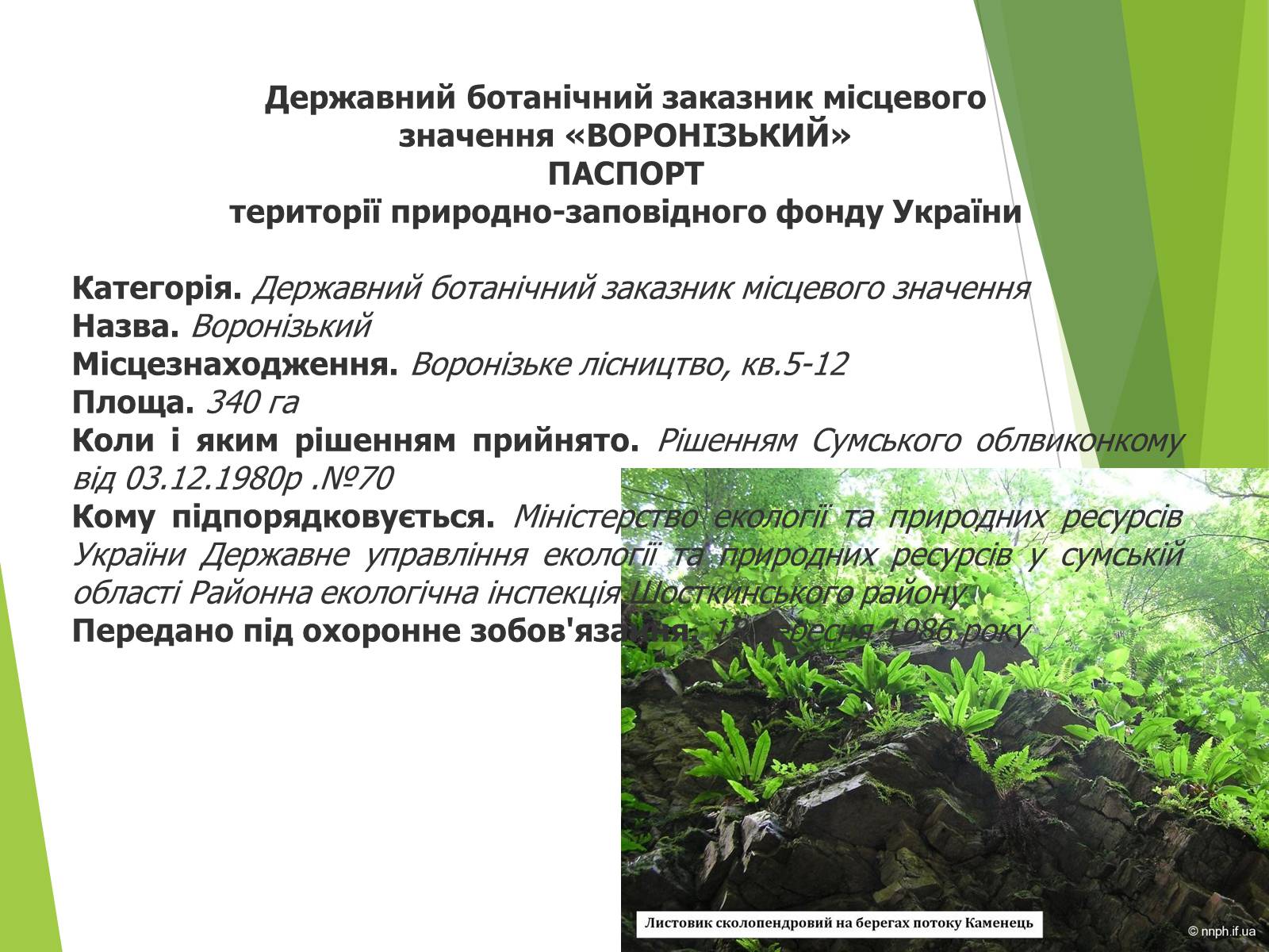 Презентація на тему «Екомережі» (варіант 2) - Слайд #21 Презентація на тему «Екомережі» (варіант 2) - Слайд #21