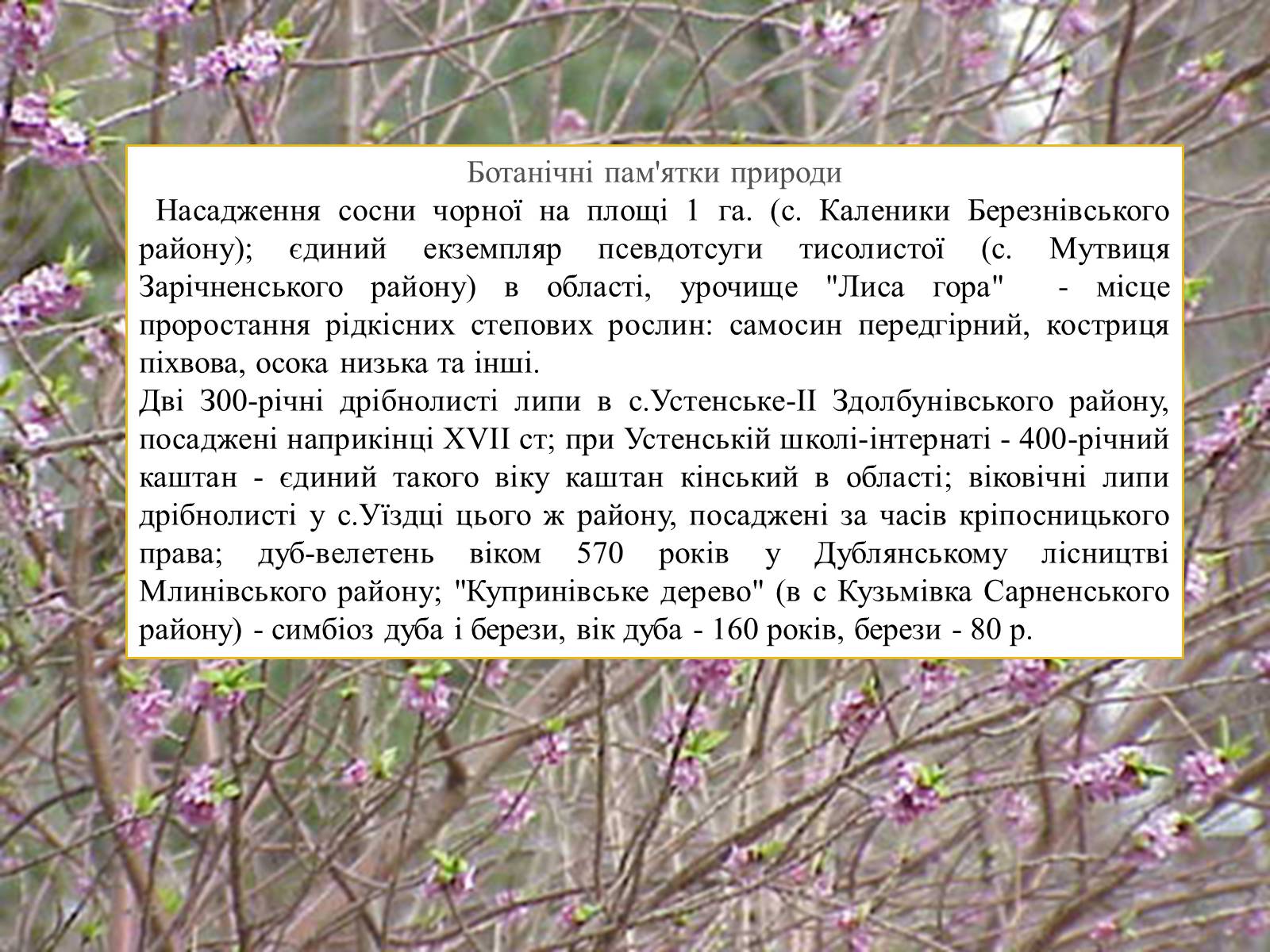 Презентація на тему «Екомережі» (варіант 2) - Слайд #29 Презентація на тему «Екомережі» (варіант 2) - Слайд #29
