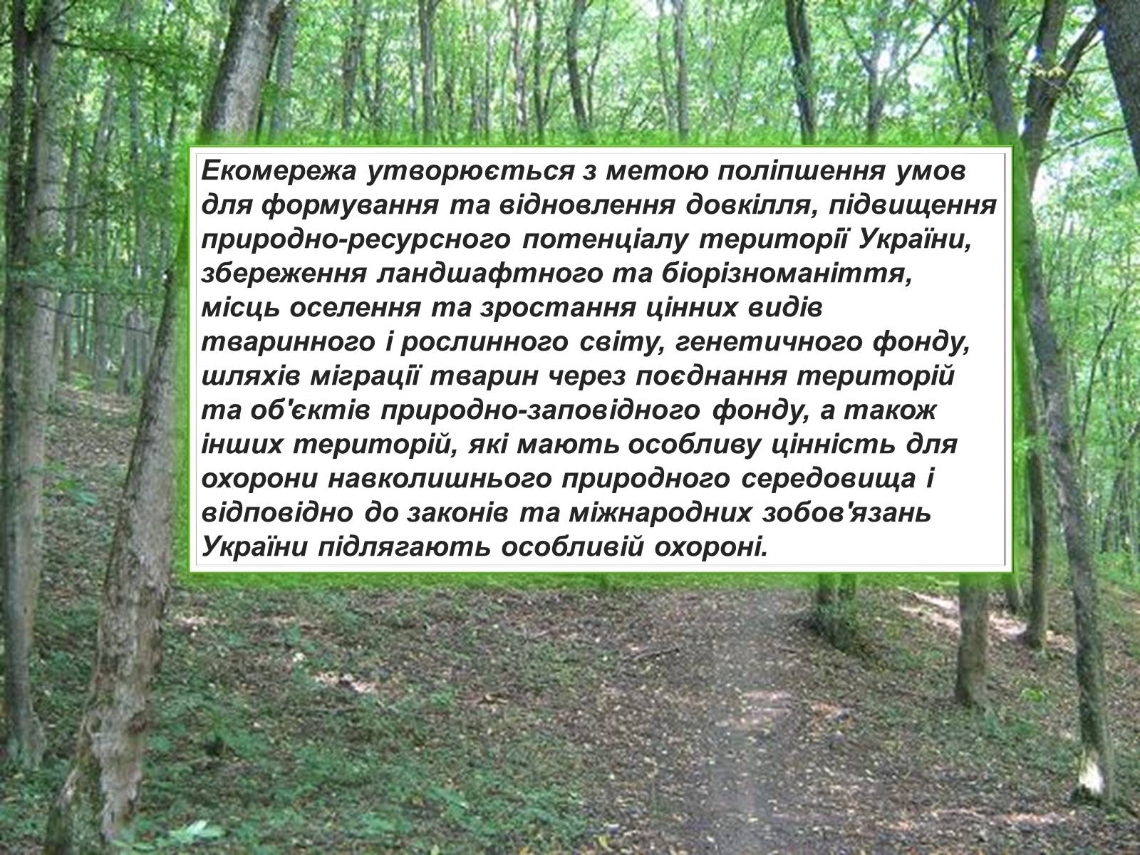 Презентація на тему «Екомережі» (варіант 2) - Слайд #3 Презентація на тему «Екомережі» (варіант 2) - Слайд #3
