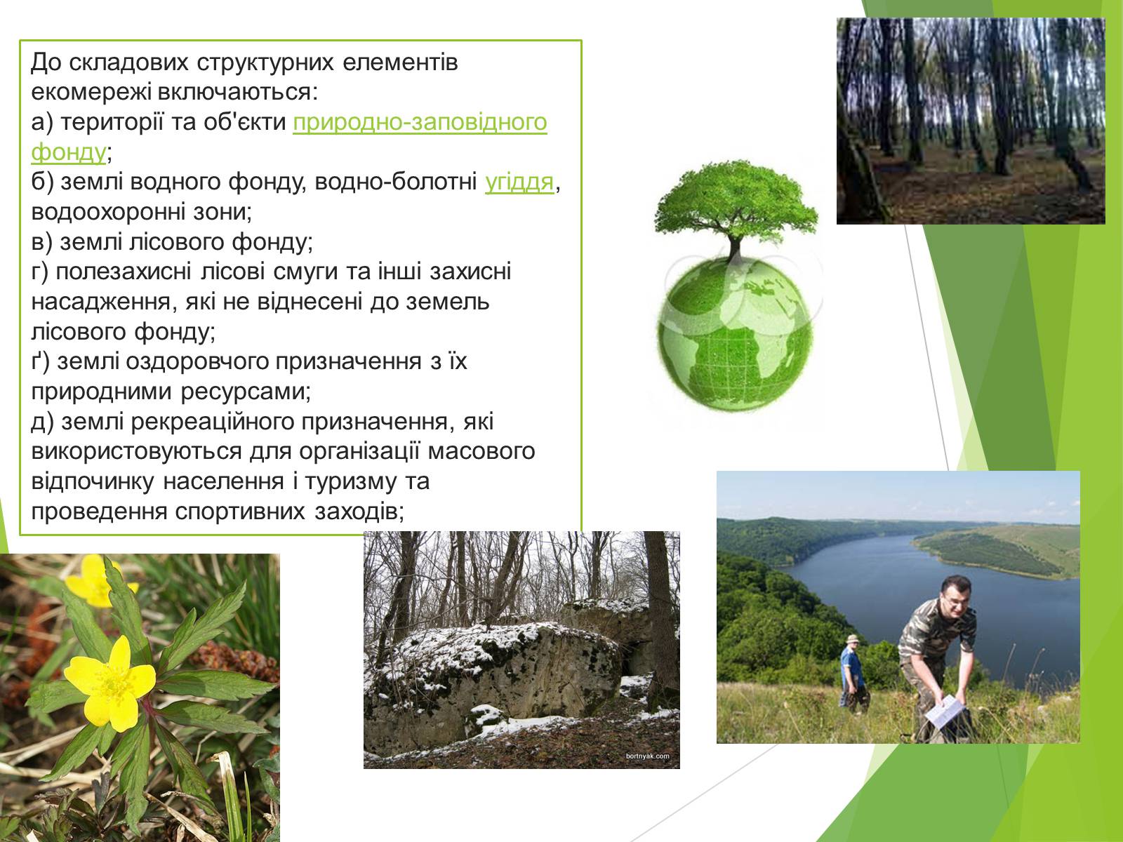 Презентація на тему «Екомережі» (варіант 2) - Слайд #4 Презентація на тему «Екомережі» (варіант 2) - Слайд #4
