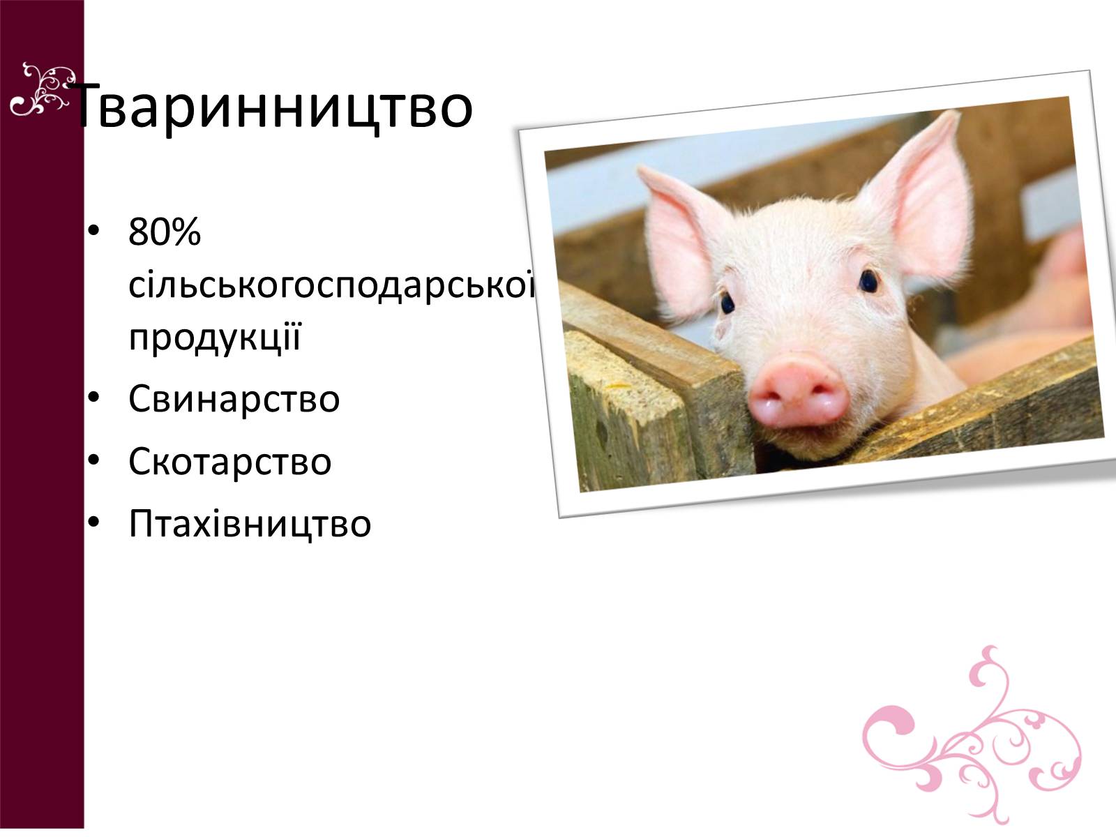 Презентація на тему «Республіка Білорусь» (варіант 4) - Слайд #13 Презентація на тему «Республіка Білорусь» (варіант 4) - Слайд #13