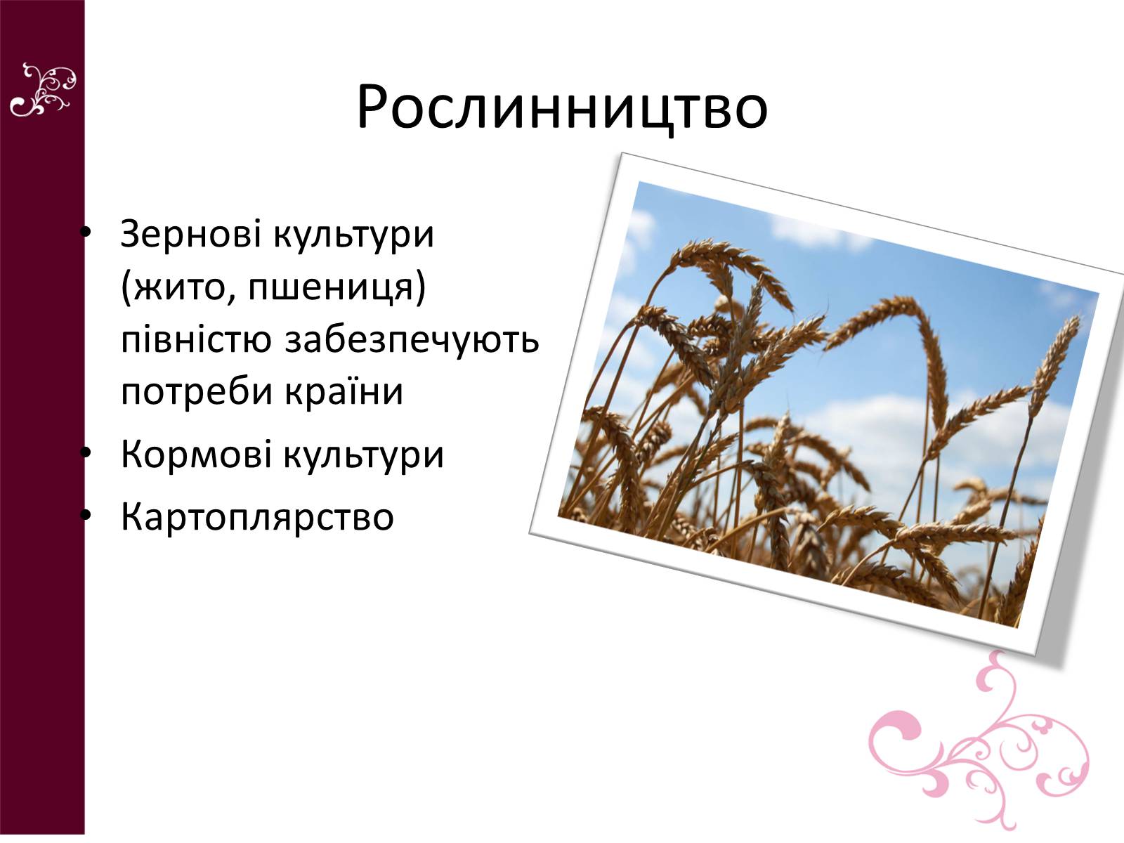 Презентація на тему «Республіка Білорусь» (варіант 4) - Слайд #14 Презентація на тему «Республіка Білорусь» (варіант 4) - Слайд #14