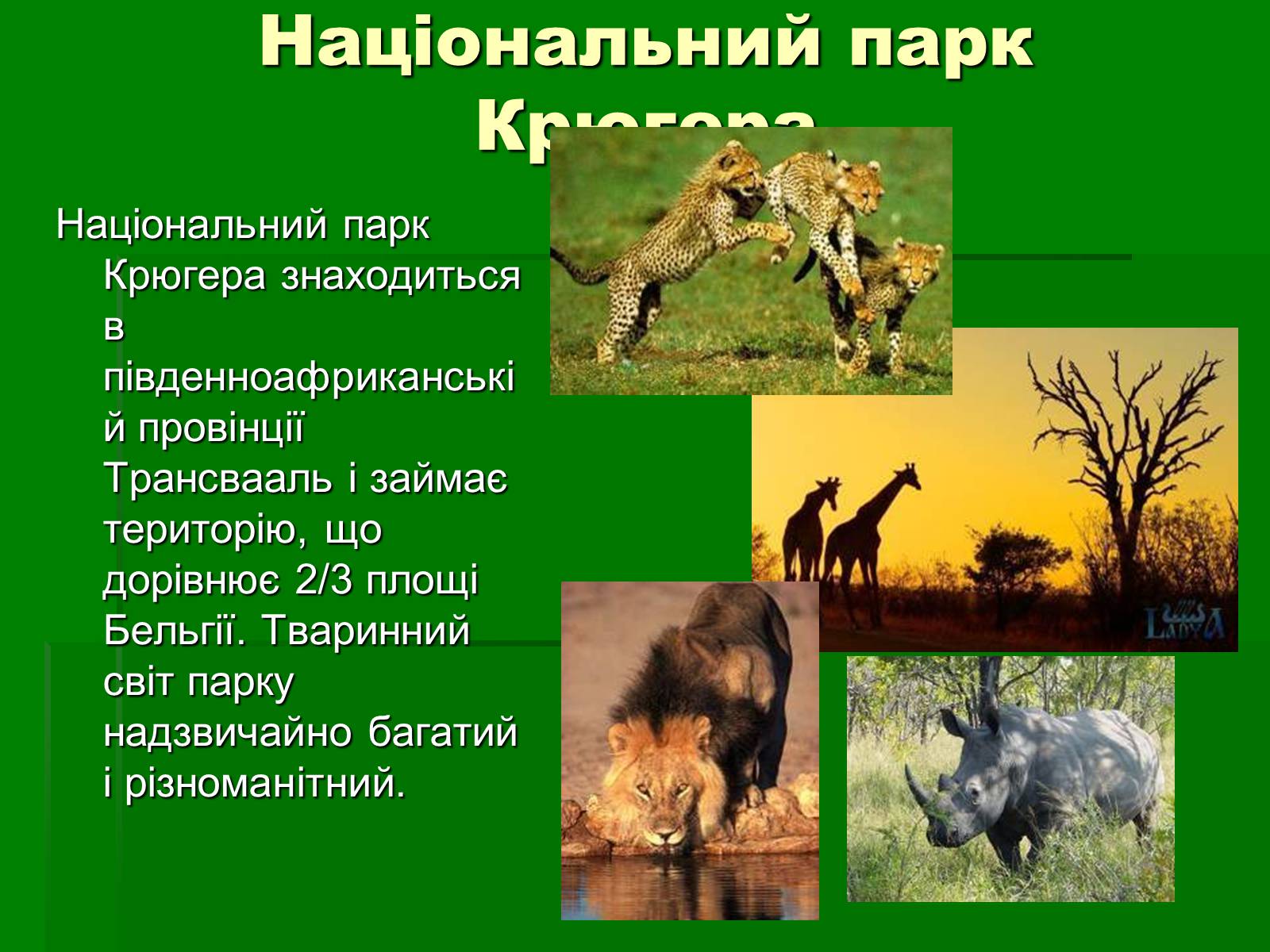 Презентація на тему «Південна Африканська Республіка» - Слайд #22 Презентація на тему «Південна Африканська Республіка» - Слайд #22
