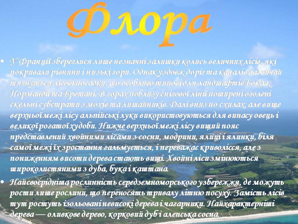 Презентація на тему «Франція» (варіант 43) - Слайд #22 Презентація на тему «Франція» (варіант 43) - Слайд #22
