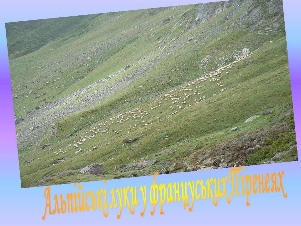 Презентація на тему «Франція» (варіант 43) - Слайд #25 Презентація на тему «Франція» (варіант 43) - Слайд #25