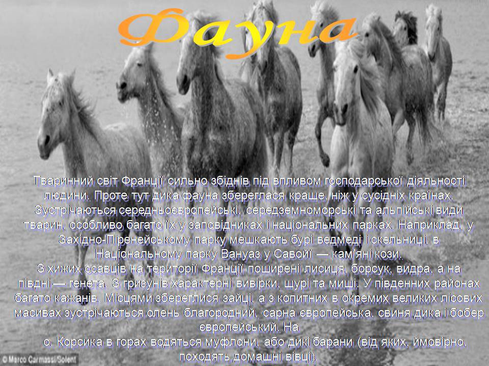 Презентація на тему «Франція» (варіант 43) - Слайд #27 Презентація на тему «Франція» (варіант 43) - Слайд #27
